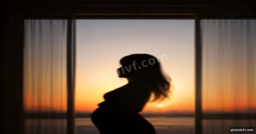 墨西哥助孕流程与法律